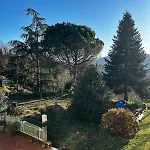 Le Camelie 2 Di Francesca