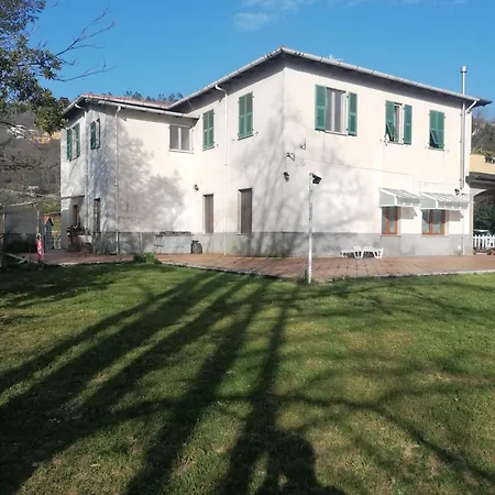 Le Camelie 2 Di Francesca * Polverara