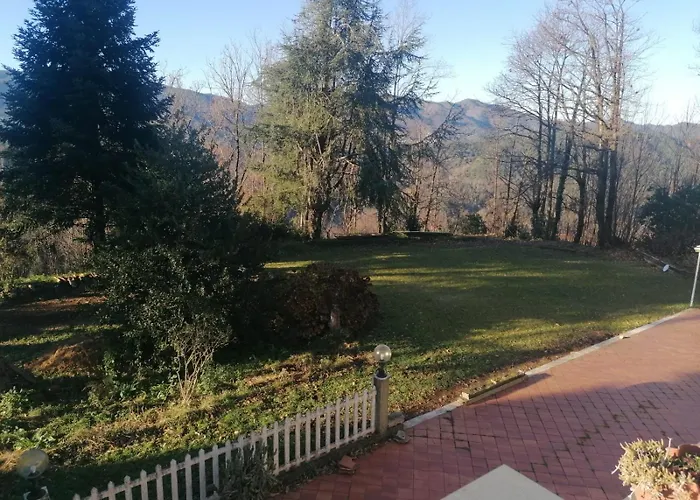 Le Camelie 2 Di Francesca