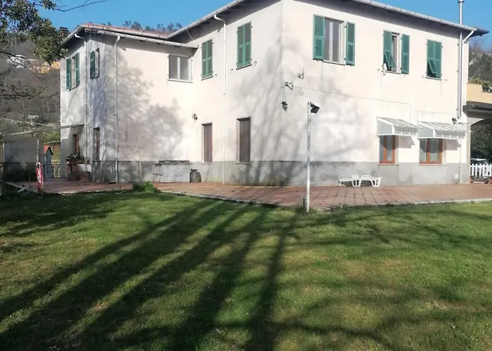 Le Camelie 2 Di Francesca * Polverara