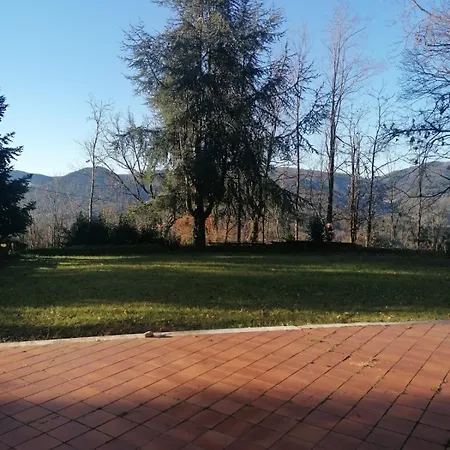 Le Camelie 2 Di Francesca * Polverara