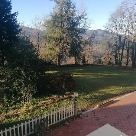 Le Camelie 2 Di Francesca