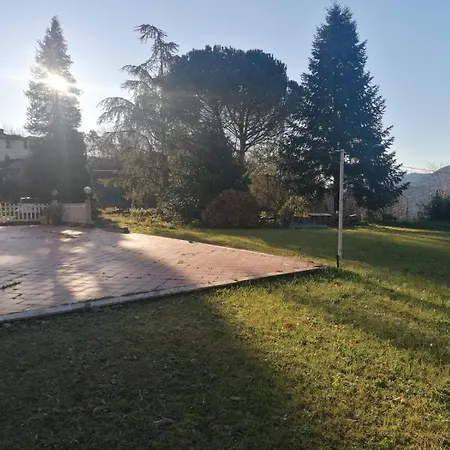 Le Camelie 2 Di Francesca * Polverara