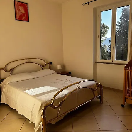 Le Camelie 2 Di Francesca Polverara