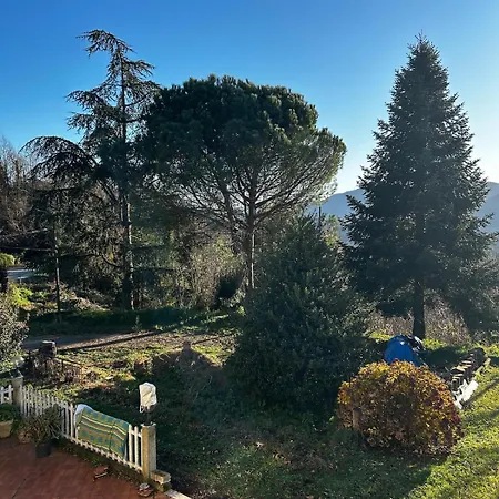 Le Camelie 2 Di Francesca