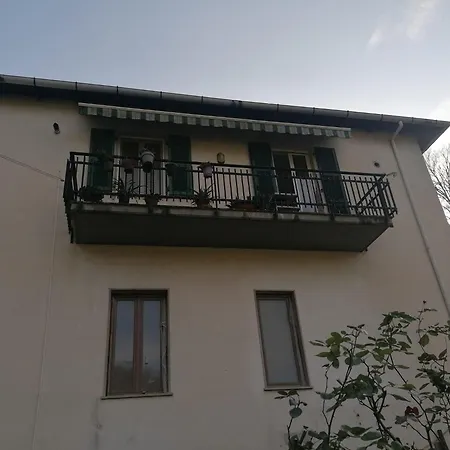 Le Camelie 2 Di Francesca