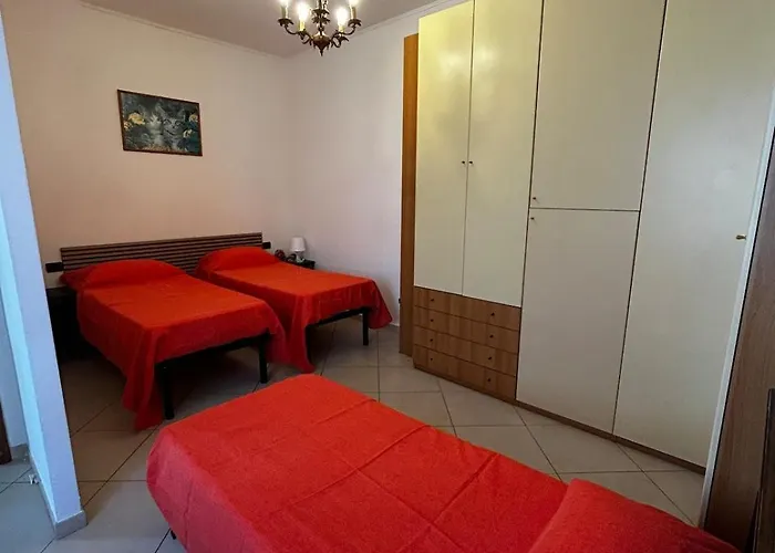 Le Camelie 2 Di Francesca