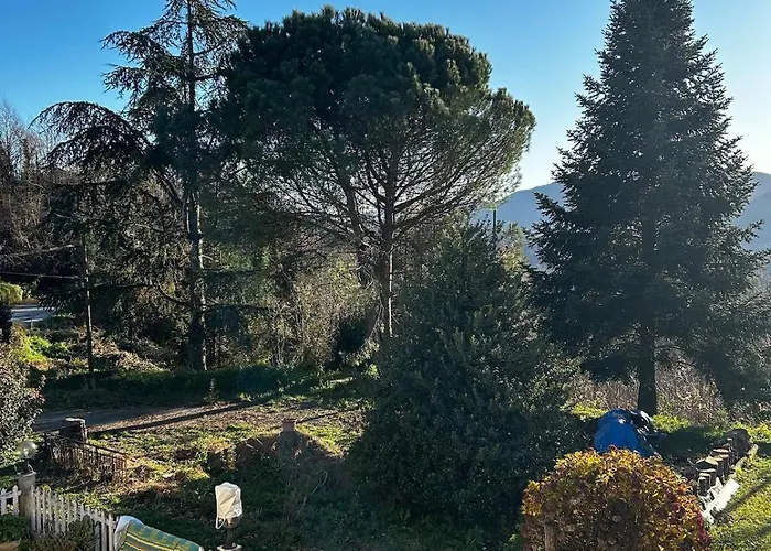 Le Camelie 2 Di Francesca