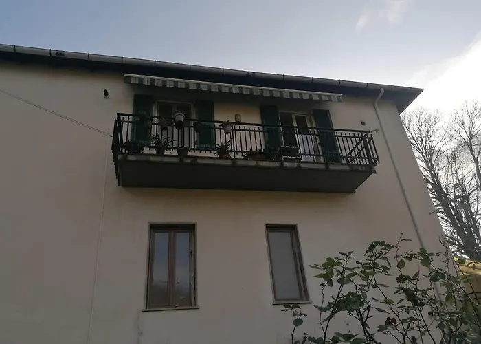 Le Camelie 2 Di Francesca